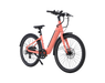 AMIA Key West Ebike
