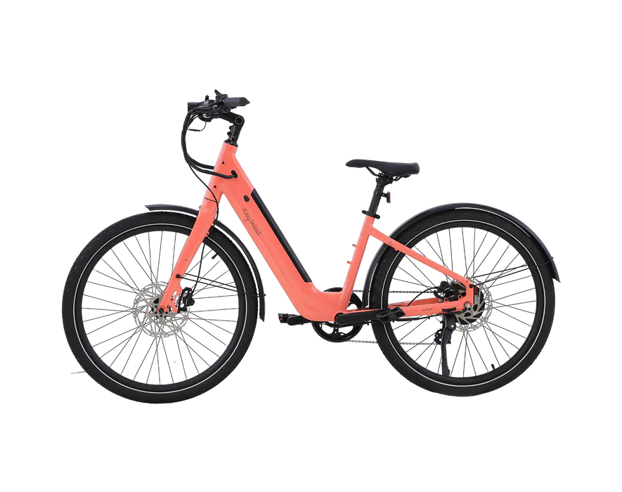 AMIA Key West Ebike