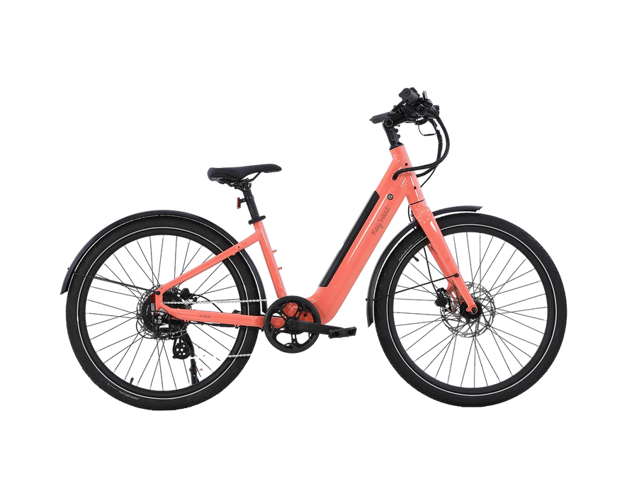 AMIA Key West Ebike