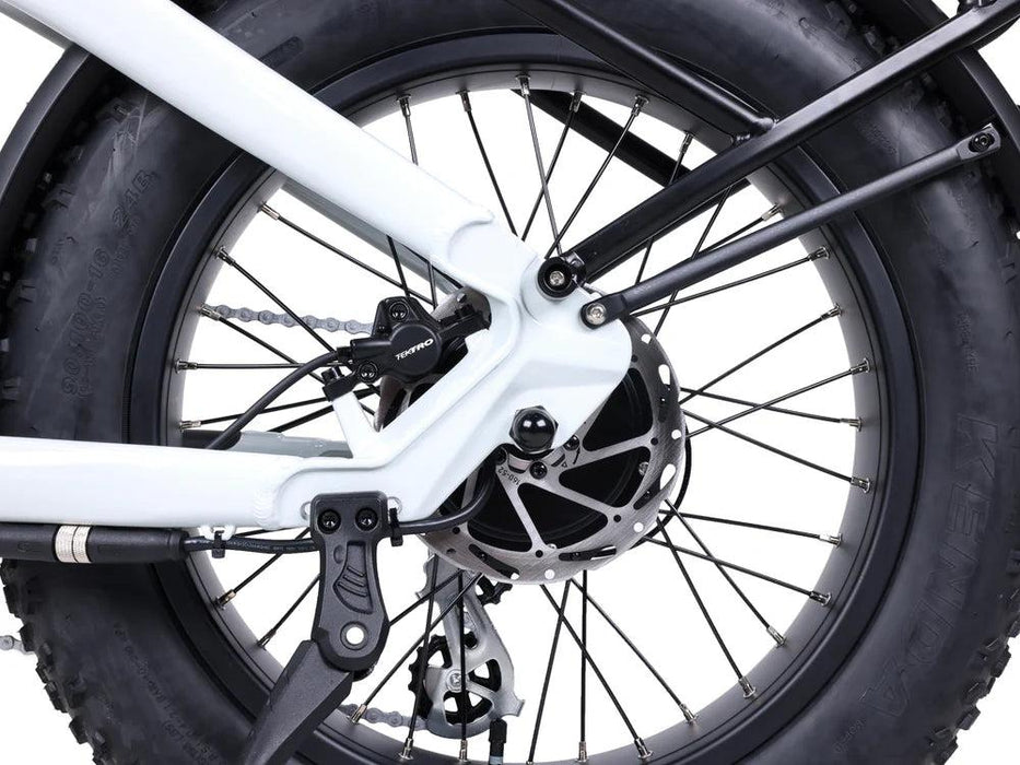 Lynx Plus 20" E-Bike