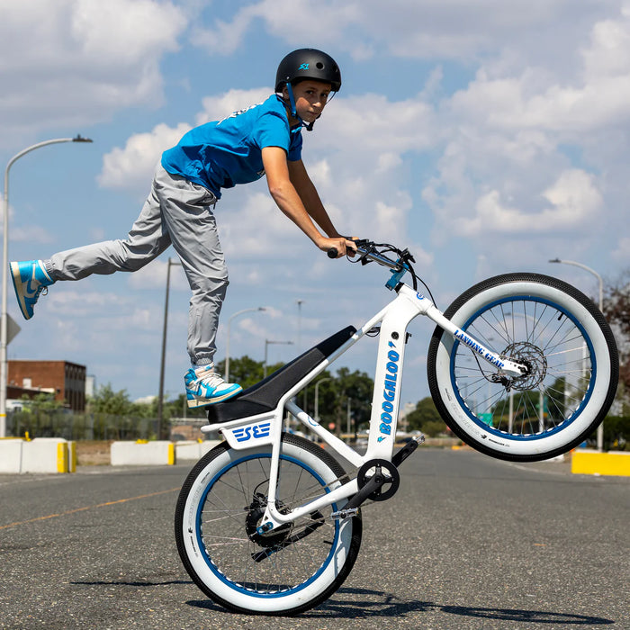 SE Electric Boogaloo 24"
