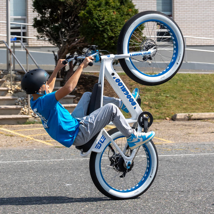 SE Electric Boogaloo 24"