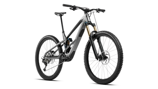 Orbea Wild LT H10