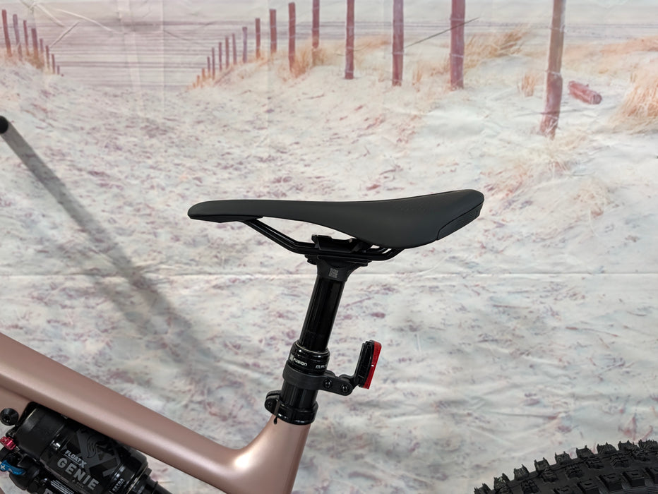 Specialized Turbo Levo 4 Comp Carbon Demo Satin Champagne / Metallic Obsidian S3