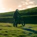 Rawrr Mantis ‍Mini R
