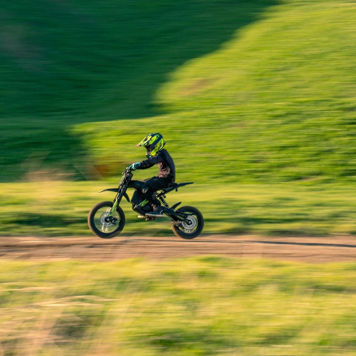 Rawrr Mantis ‍Mini R