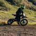 Rawrr Mantis ‍Mini R