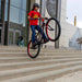 SE Big Flyer HD 29"