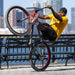 SE Big Flyer HD 29"