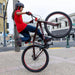 SE Big Flyer HD 29"