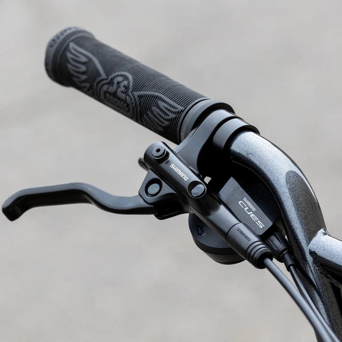 SE Fast Ripper 29" Bicycle