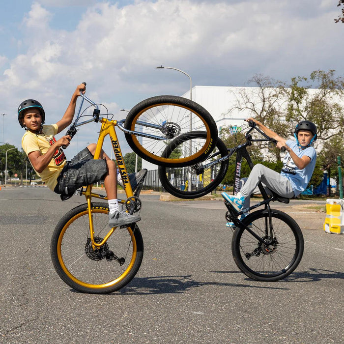 SE Fast Ripper 29" Bicycle