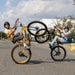 SE Fast Ripper 29" Bicycle