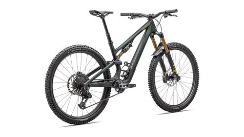 Specialized Stumpjumper 15 Pro Demo