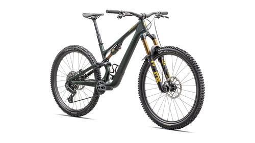Specialized Stumpjumper 15 Pro Demo