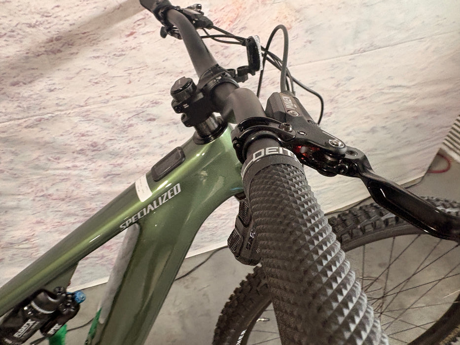 Specialized Turbo Levo 4 Expert Demo Gloss Cypress Metallic / Silver Dust S3