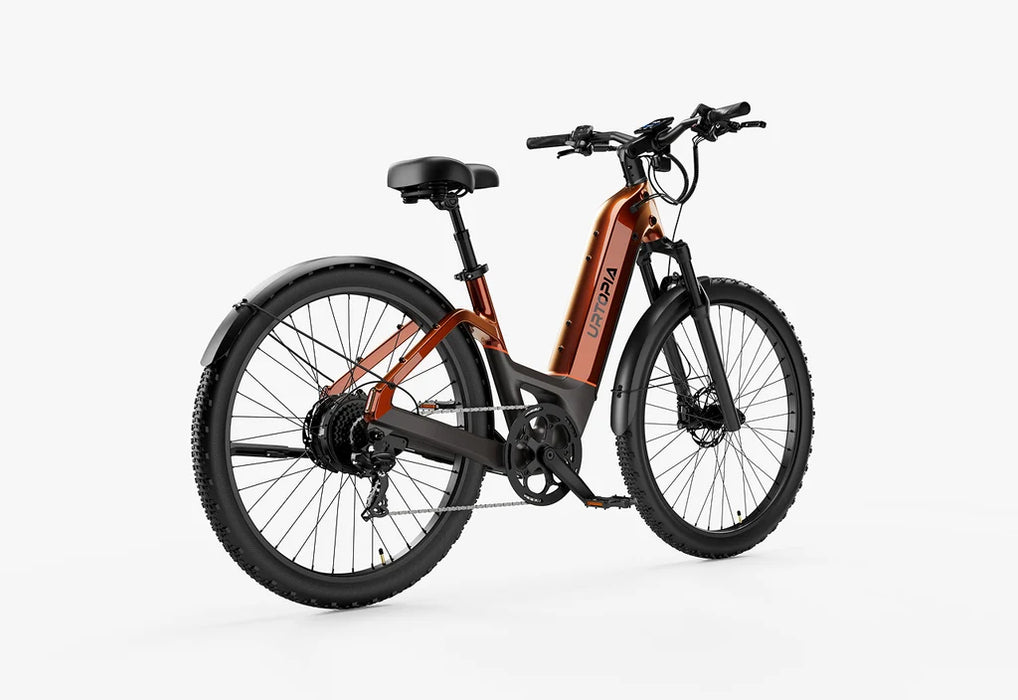 Carbon Atom E-Bike