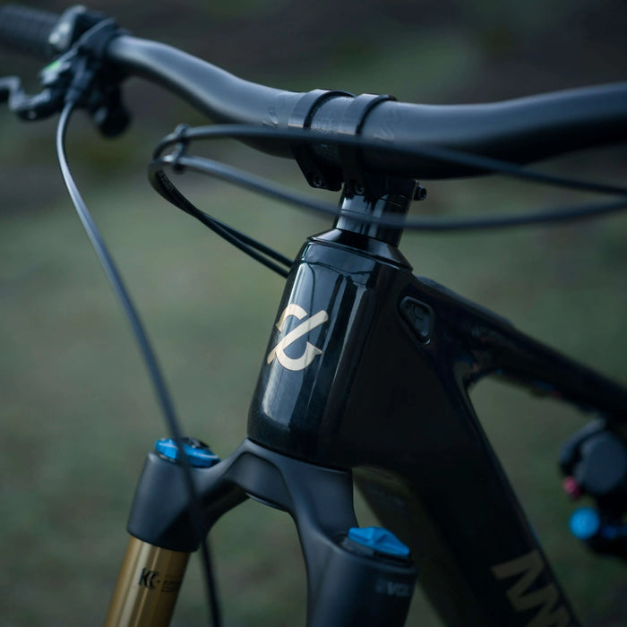 Amflow PL Carbon