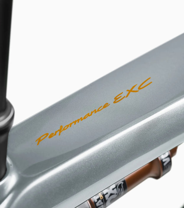 Porsche eBike Cross Performance EXC