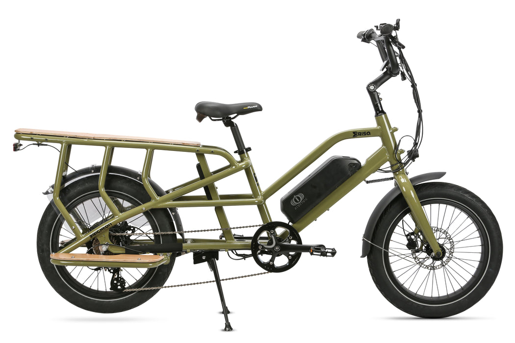 Brisa CR-GO Cargo EBike