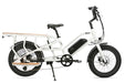 Brisa CR-GO Cargo EBike