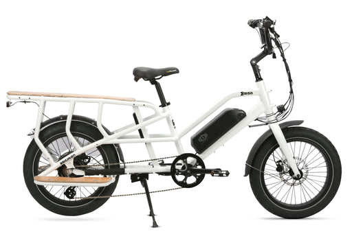 Brisa CR-GO Cargo EBike