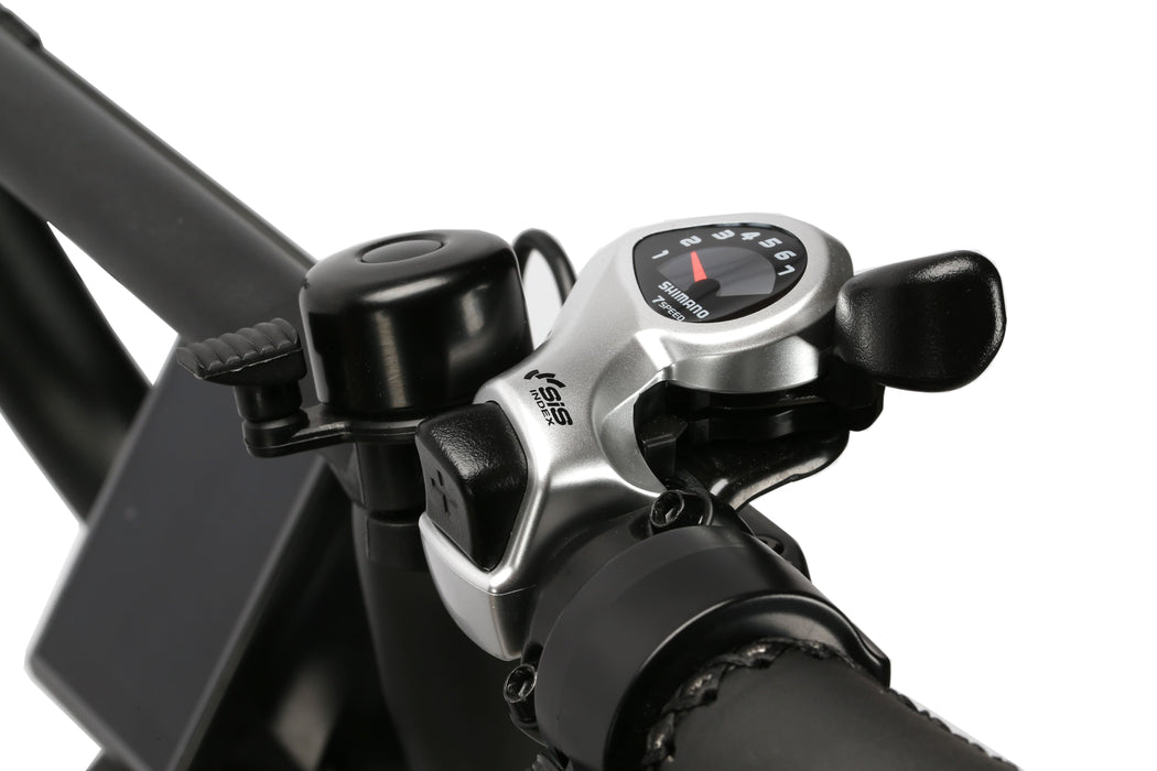 Brisa CR-GO Cargo EBike
