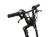 Brisa CR-GO Cargo EBike