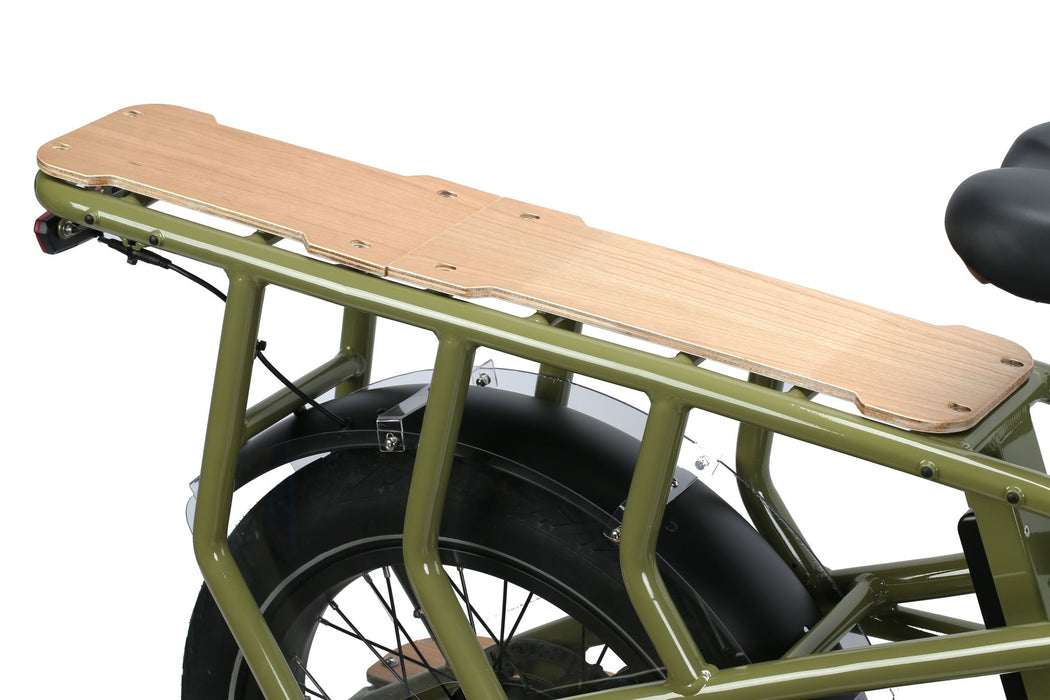 Brisa CR-GO Cargo EBike