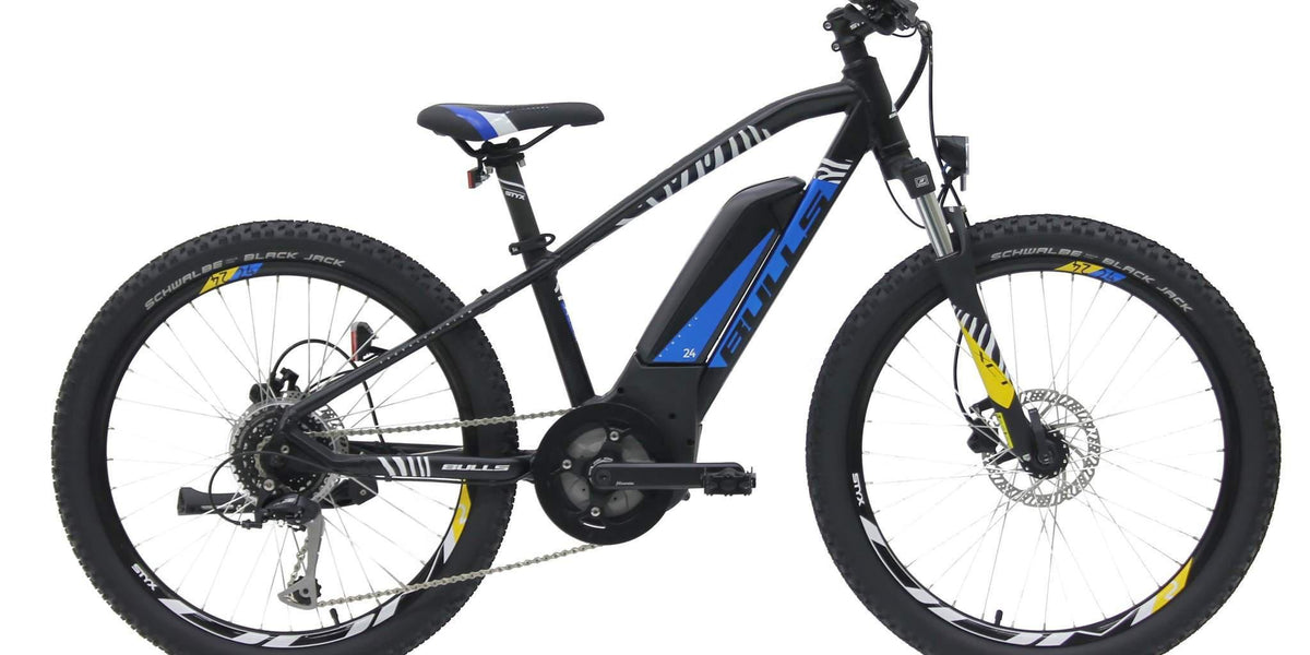 Bulls Twenty4 e-bike