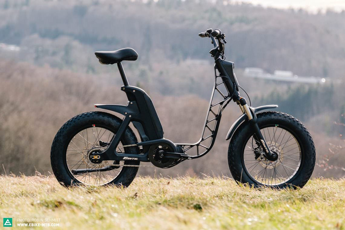 Fantic Issimo Fun High Quality EBikes