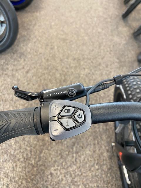 Fifield Rogue Wave Fat Tire Electric Bike