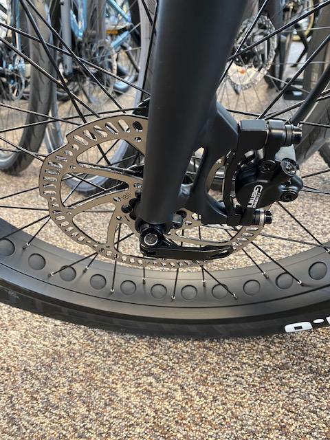Fifield Rogue Wave Fat Tire Electric Bike