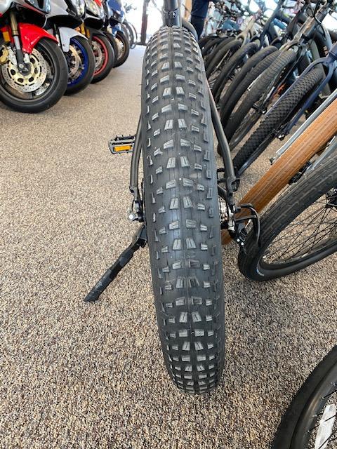 Fifield Rogue Wave Fat Tire Electric Bike