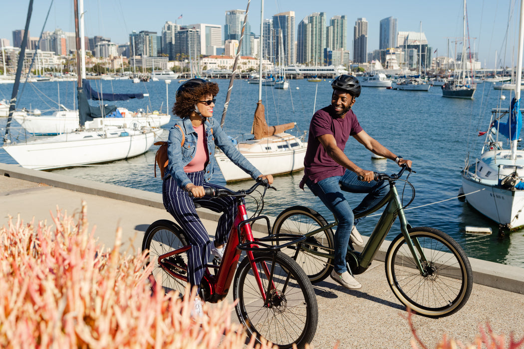 giant lafree electric bicycle E+ 2 Disc Commuter E-Bike - 2019, Medium identify this bike - Any