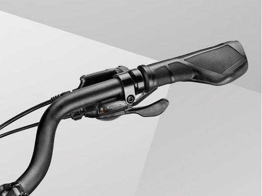 Giant Momentum Lafree E+