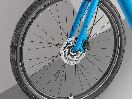 Giant Momentum Transend E+ Low Step Demo